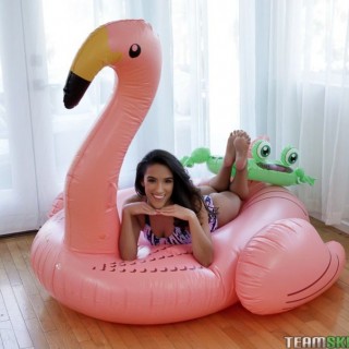 Покатал шикарную секси девочку на хуе