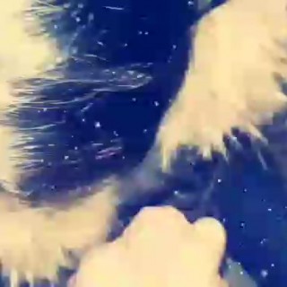 Порно русское с сестрой аппетитные