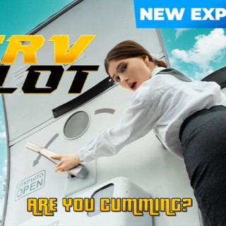 Пилот развел стюардессу на жаркий секс