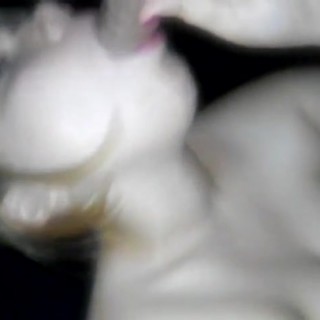 Порно оргии би чешское